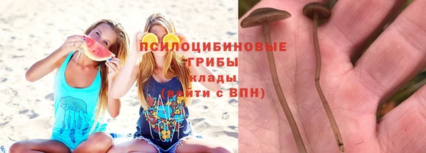 трава Инта