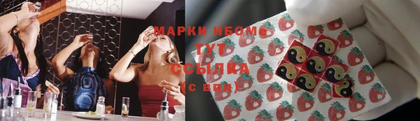 трава Инта