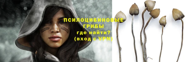 стафф Инсар