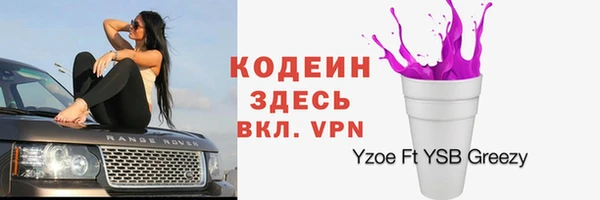 трава Инта