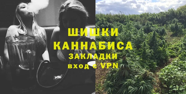 бошки Иннополис