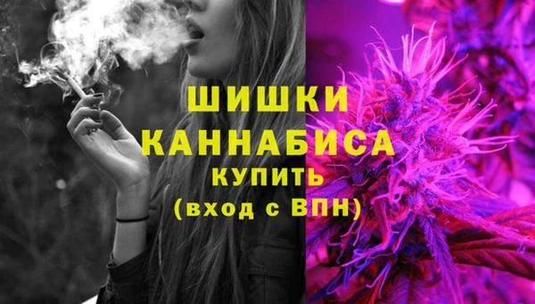 бошки Иннополис