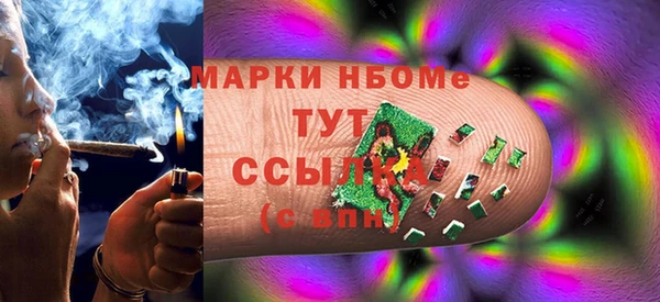 трава Инта