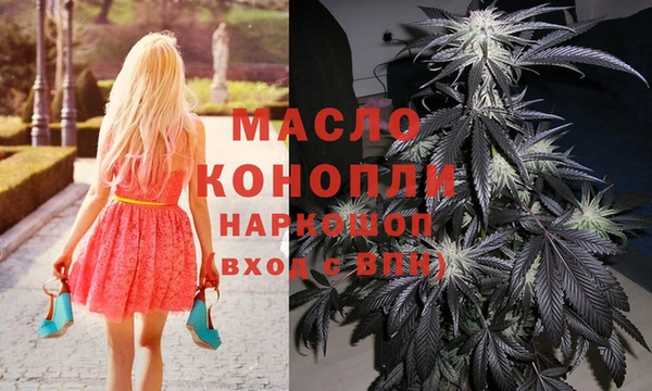 трава Инта