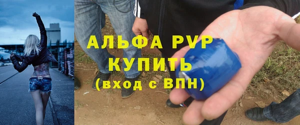 трава Инта