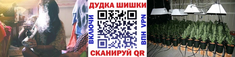Бошки марихуана конопля  Купить закладки  Котельники 